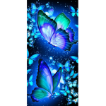 Butterfly_Nat_