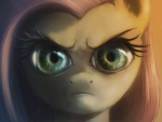Anime/fan group (too lazy for a name)