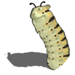 Chomterpillar
