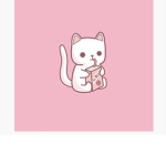 The kitty squad <3 (: