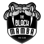 Mamba Group