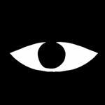 THE EYE ORGANISATION