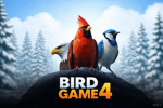 Bird Game 4 Studios