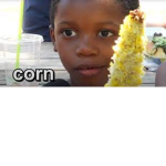 IT’S CORN!!!!