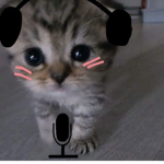 #### Mei