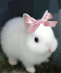 Hello! I'm HaZeL! Feel free to join! <3
