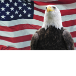 GREAT OLD AMERICA