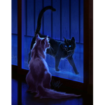 The cat with the glowing eyes