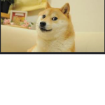 Doge_fan club