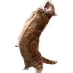 티셔츠 제작