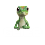 Geico