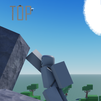 Project