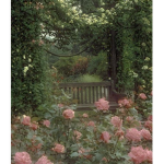 gabby's garden!!