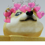 |::DOGE ARMY::|