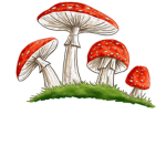 | The Mushroom Nation |
