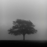 syko''