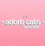 - adorb cats -