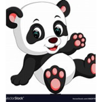 Panda bear clothing!