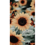My following flowers