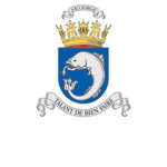 The Great Navy Of Portuguese