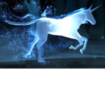 Unicorn~family