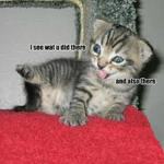 Derp ######