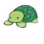 epic turtle club