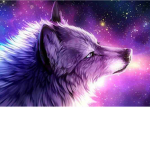 Galaxy wolf squad!