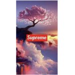 Supreme_team4371
