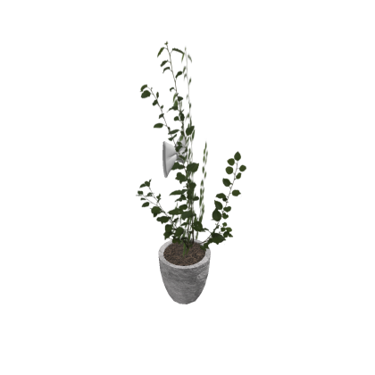 A  Small House Plant With A Bow