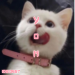 ŷøń