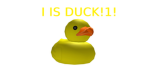 A DUCK STUDIOS