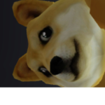 doges arė cōōl