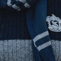 💙