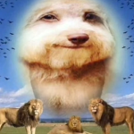 skufd