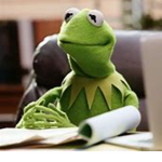 Kermit Crew (Ranking & More!)