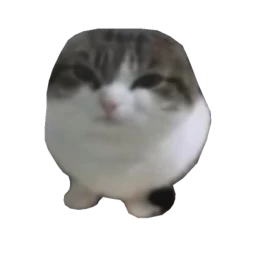 Myster's RNG [IN-DEV] icon