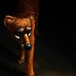 Shadows fan group