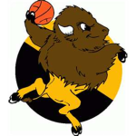 Kansas City Buffalo