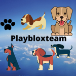RoGames Team