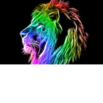 FIRE GANG FAM <3