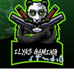 Ilyacanucks gaming studio