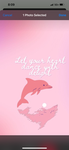 Mini dolphins pink elite perm team