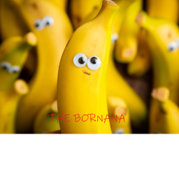 bornana incident