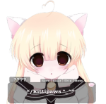 kittipaws ’