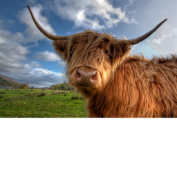 cow group uk