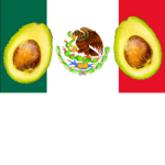 Avocados from México