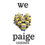 paiges kittens