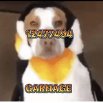 ㅊCarnage