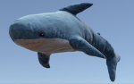 Shark Plush
